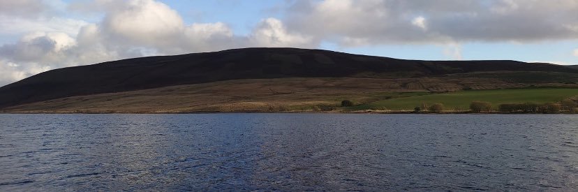 Natalie Cheyne banner