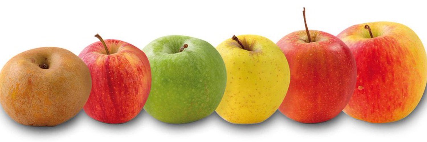 🔅Bedon🔅 banner