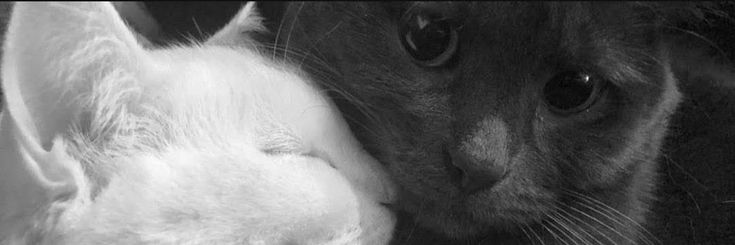 Hursit_ARPAK's profile banner image