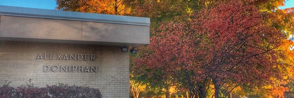 ADdolphins Profile Banner