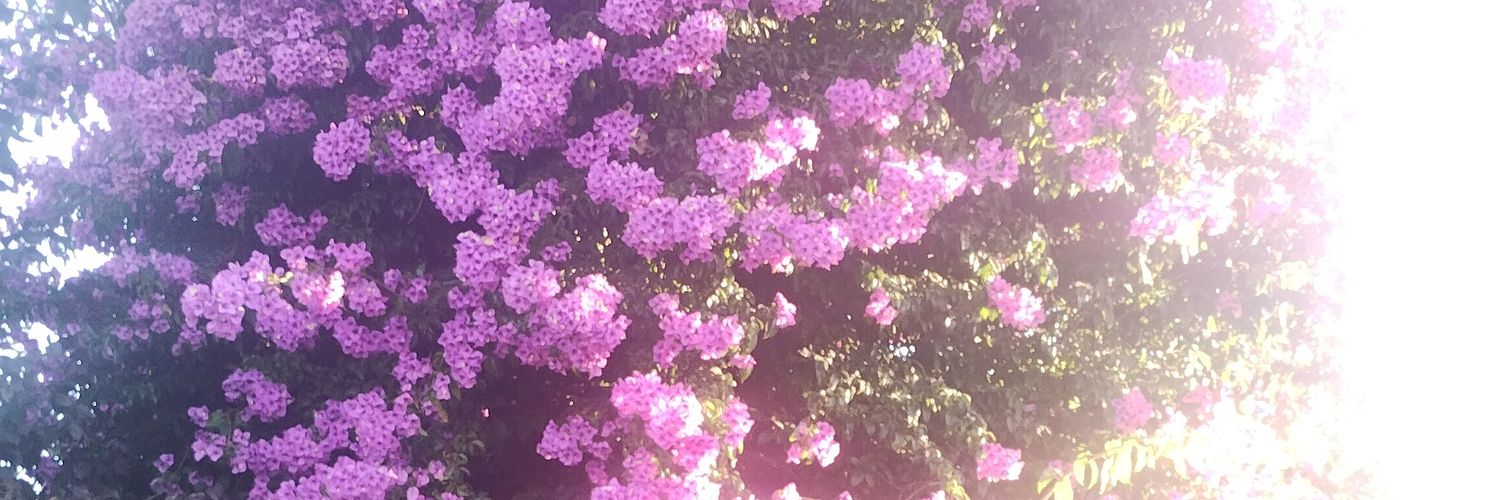 04033019's profile banner image