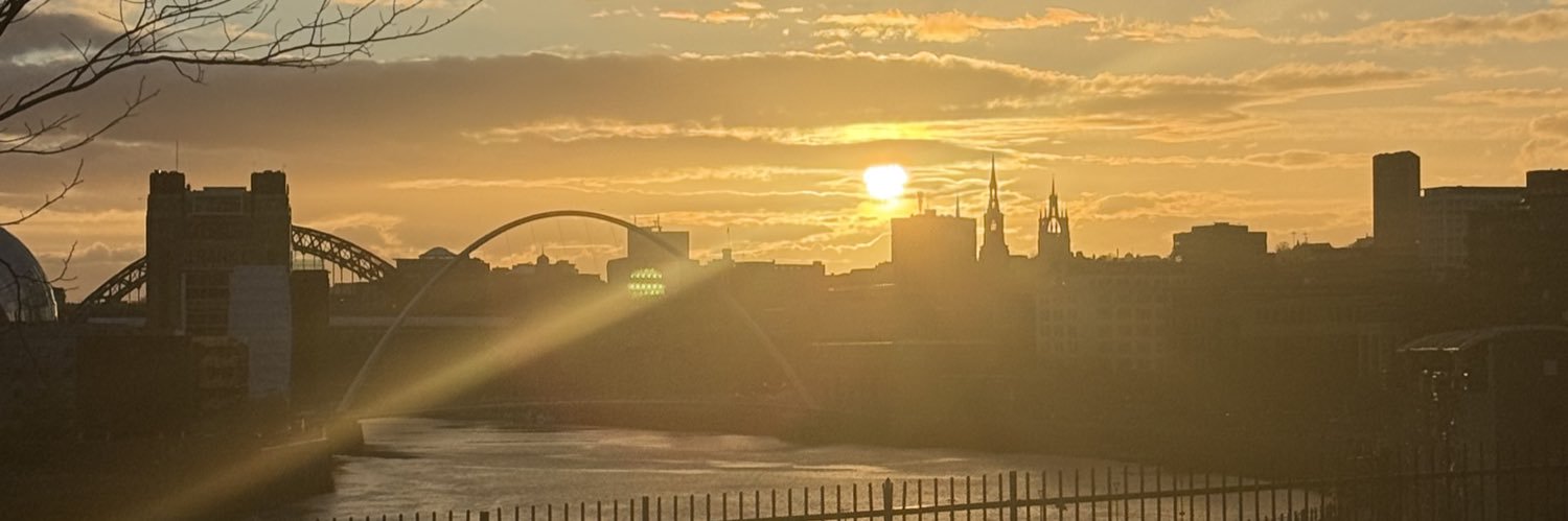 ScottyCooksNFTS banner