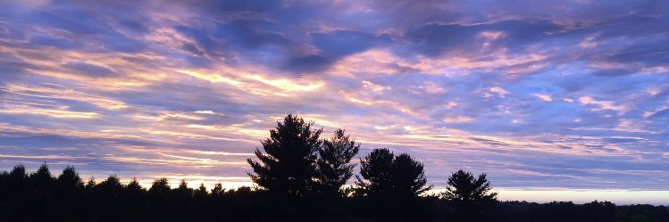 CoachWalkling's profile banner image