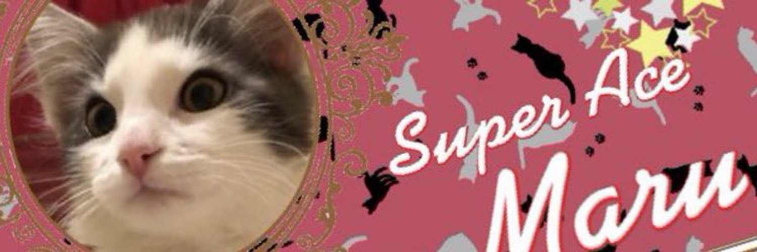 ねこちゃん🎀2 Profile Banner