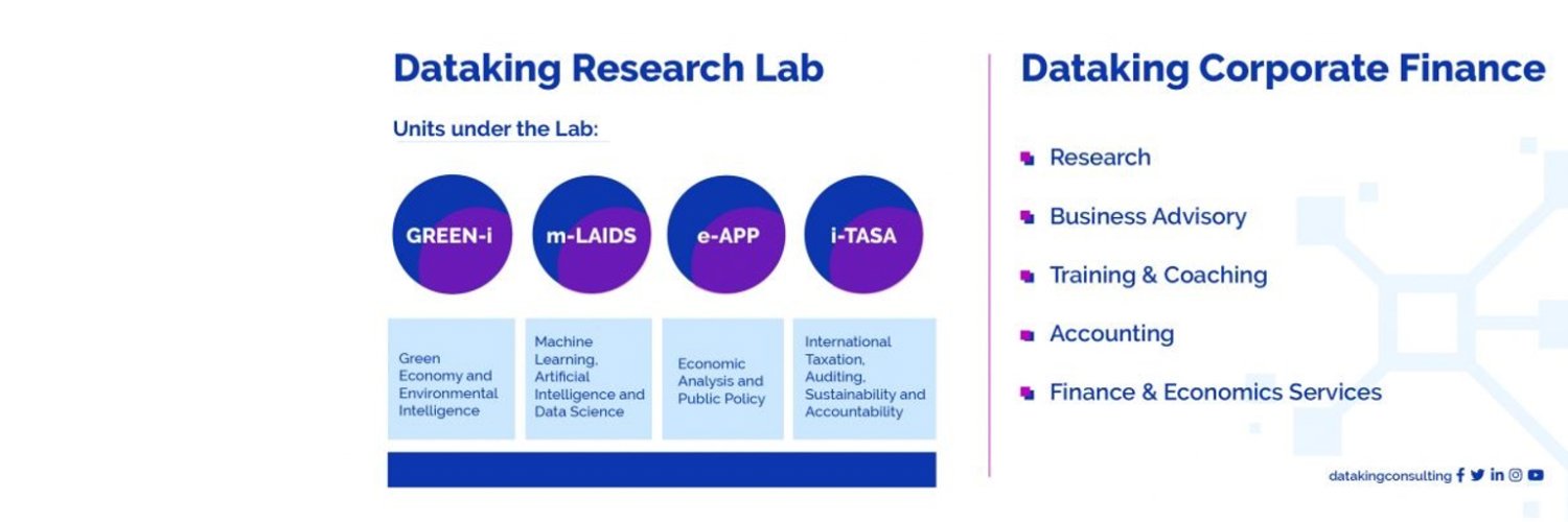 Dataking Consulting banner