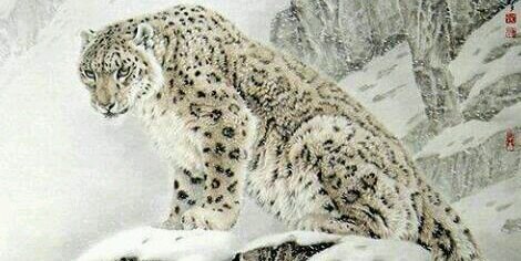 Aswintripang's profile banner image