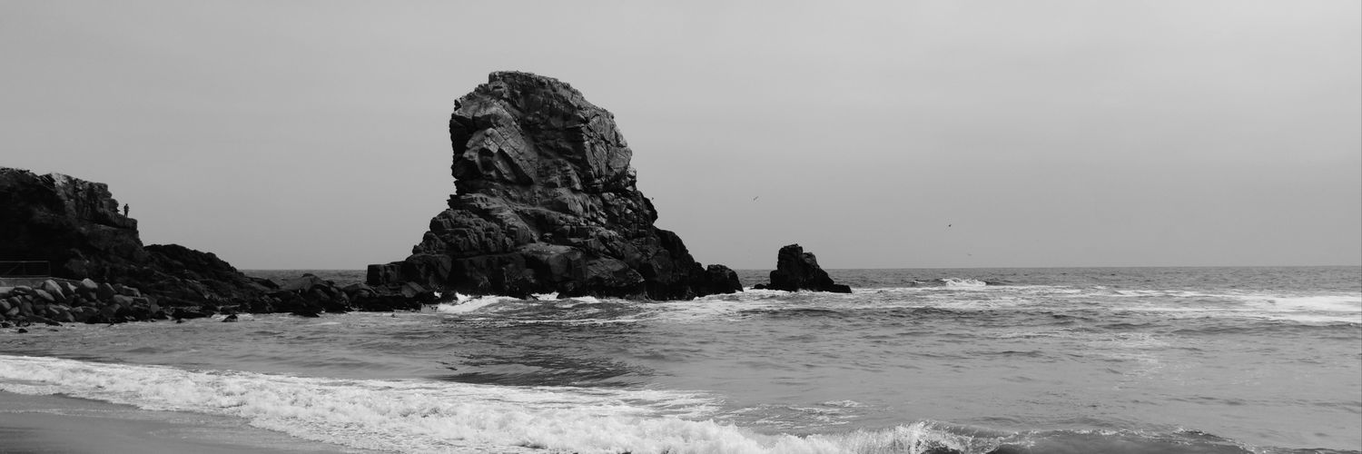 PPmouche's profile banner image