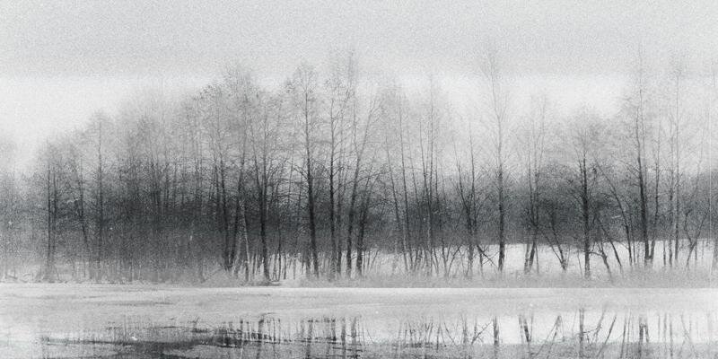 LittleSoul1606's profile banner image