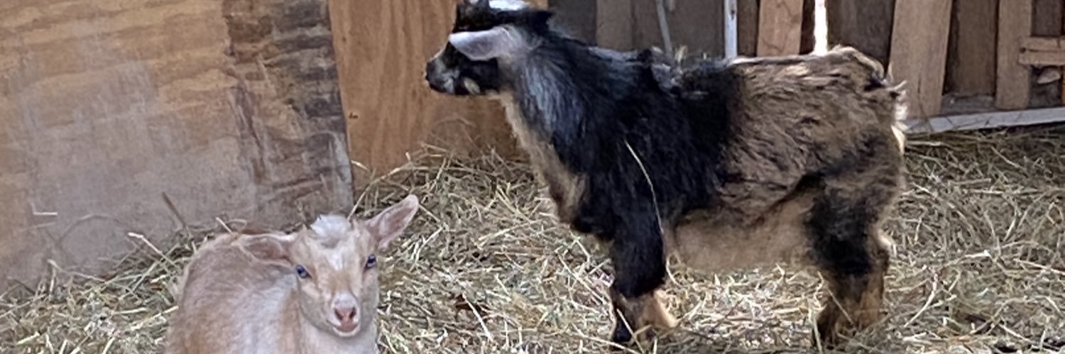 Goats and Chickens banner