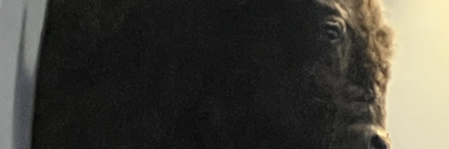 Keith Qualude banner