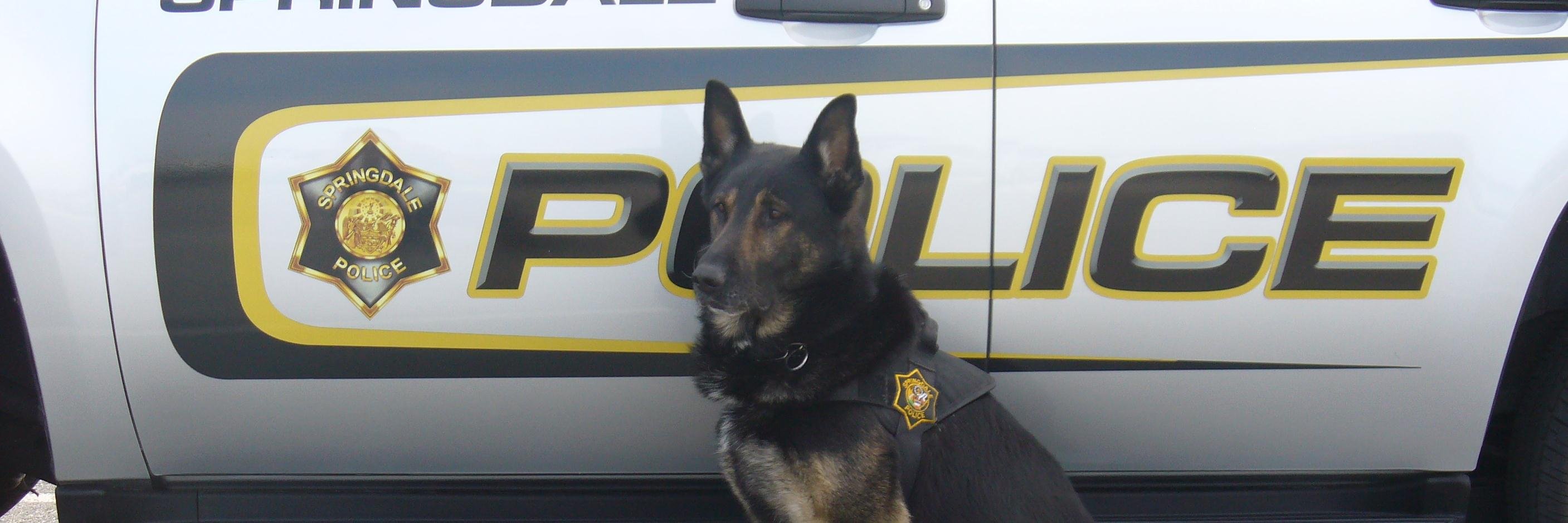 Springdale Police banner