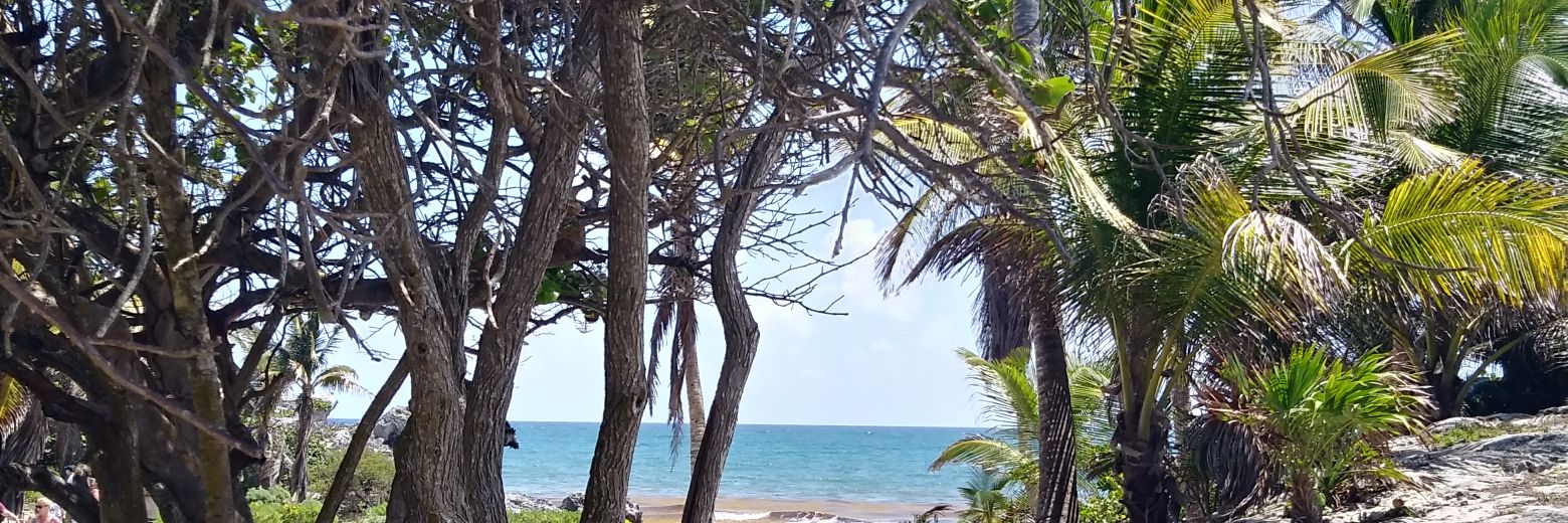 AngieSilis's profile banner image