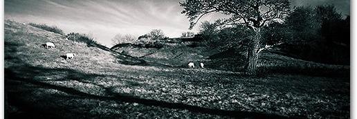 kevinpheath's profile banner image