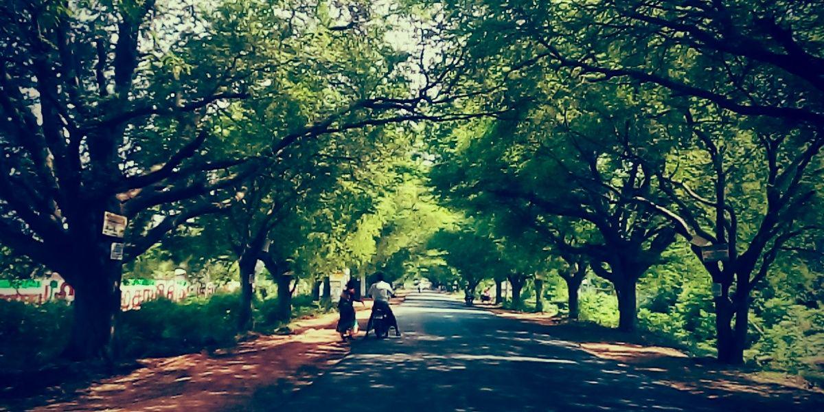 Real_Kaushik's profile banner image