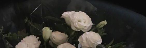 dlogiramm_u's profile banner image