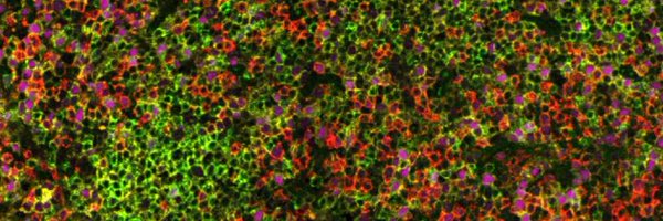 MSmelkinsonPhD Profile Banner