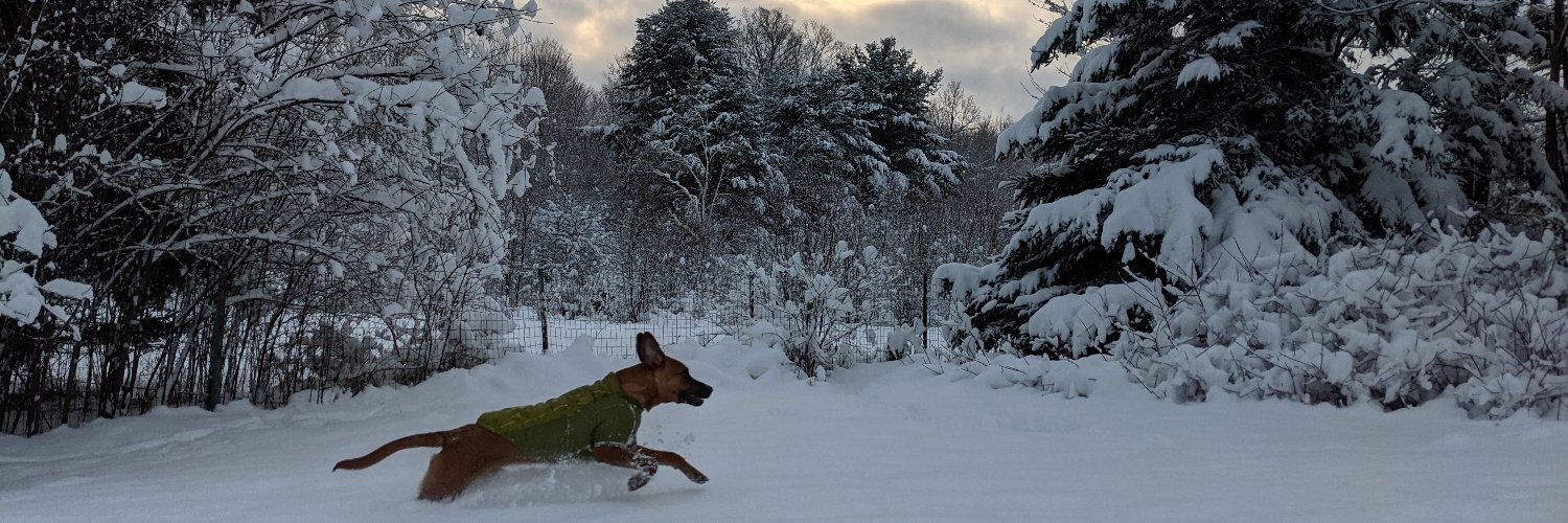 Rojo Cuttsanoff banner