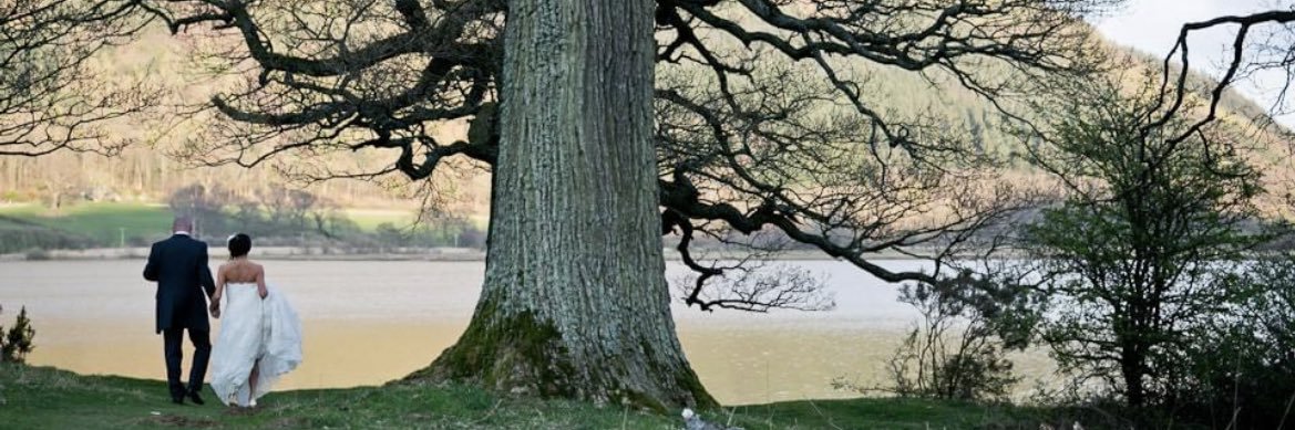 Anna Harrison banner