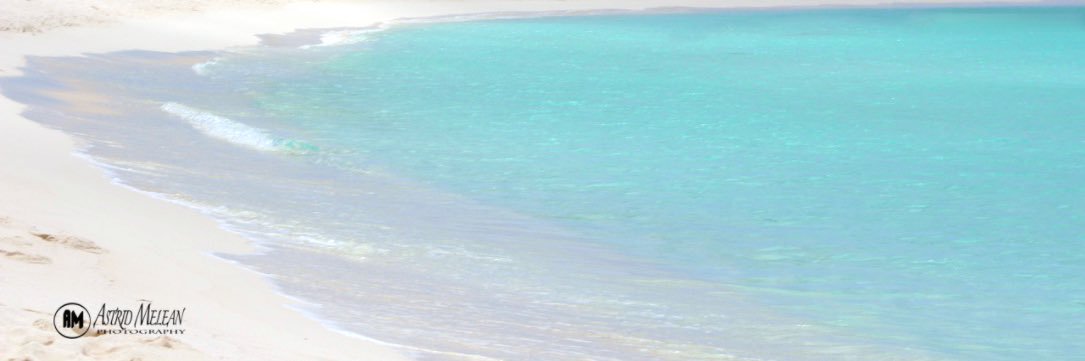 astridmelean's profile banner image