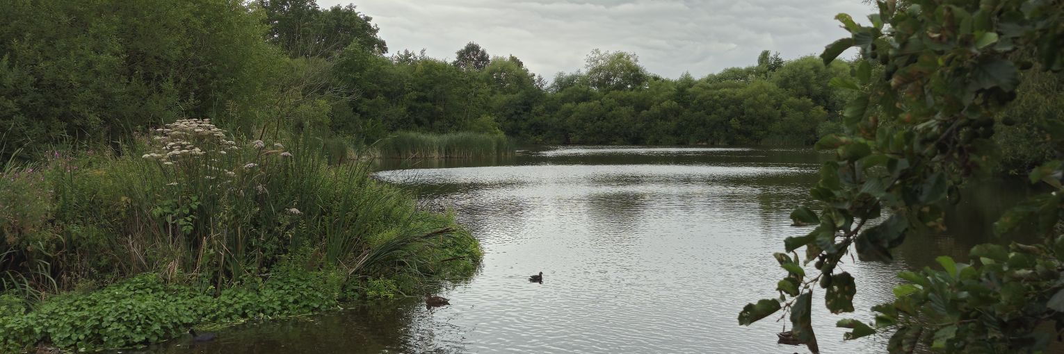 Jakub Brzezinski banner
