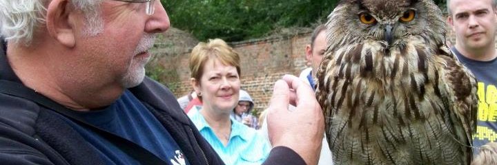 MoneypennyAgent's profile banner image