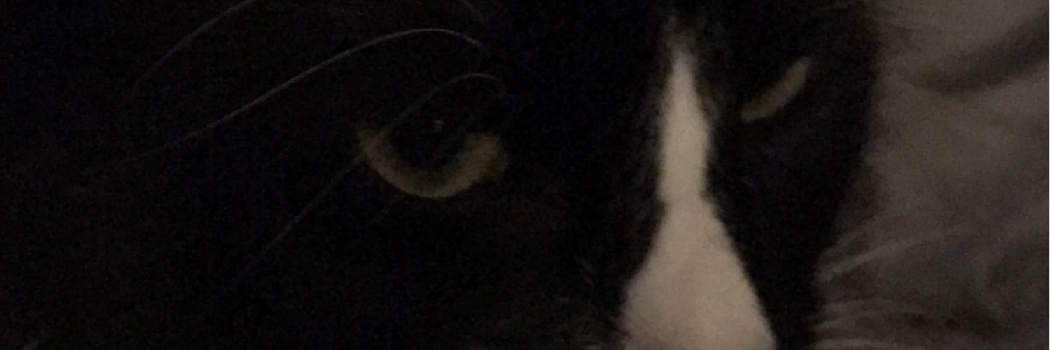 mtsjohnson's profile banner image