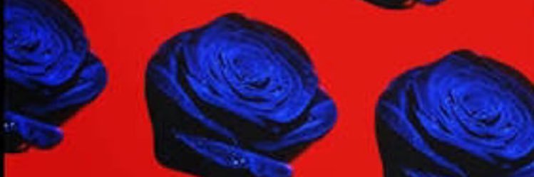 ashChloe_'s profile banner image