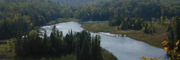 rokeetleeger Profile Banner