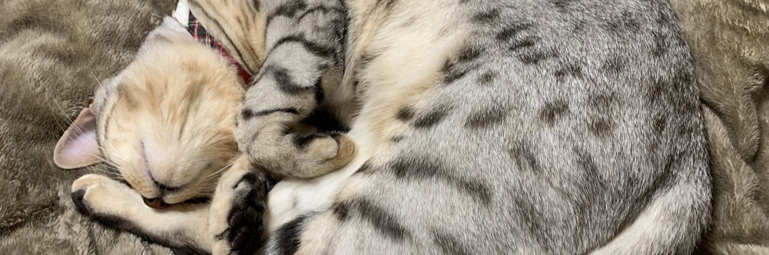 ｱｰﾈﾑｲ・（ﾟ∞ﾟ）ﾍﾟﾁｬﾝ・ﾓﾐﾝｸﾞｳｪｲ banner