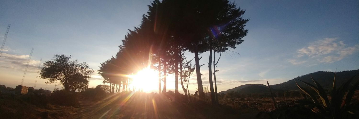 TeresagamboaL's profile banner image