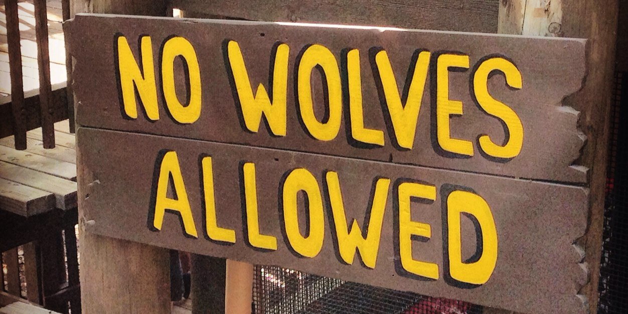 wolfedn's profile banner image