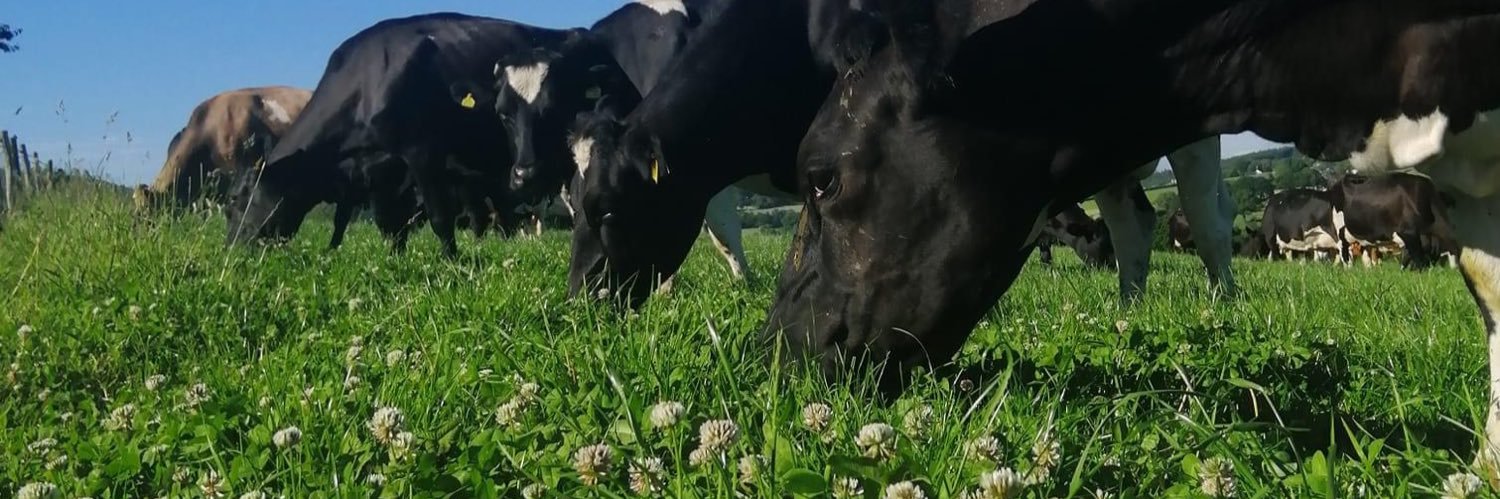Pasturetec banner