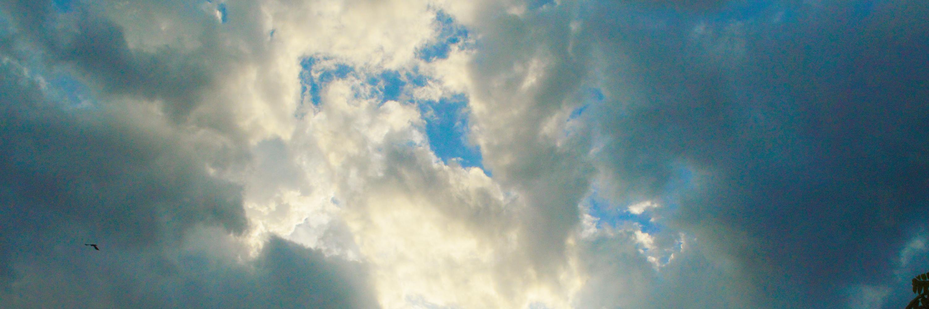 WakilD's profile banner image