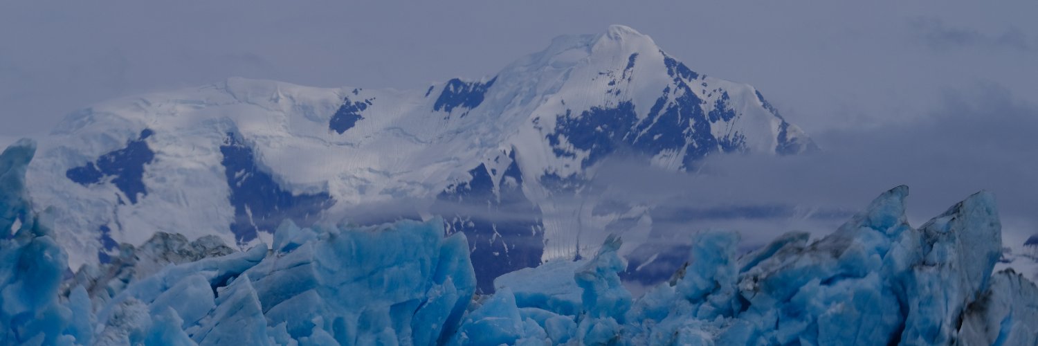 felicity_aston's profile banner image