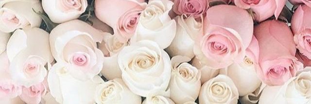 kathrynnm3's profile banner image