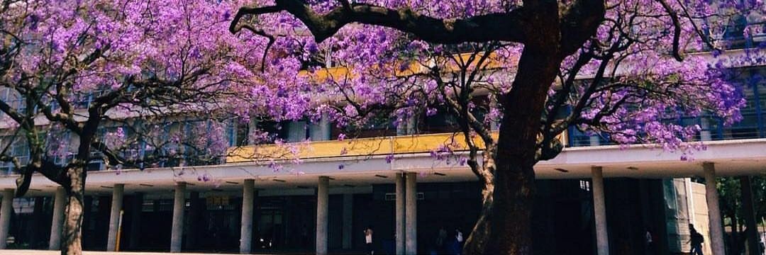 LauraAngl's profile banner image