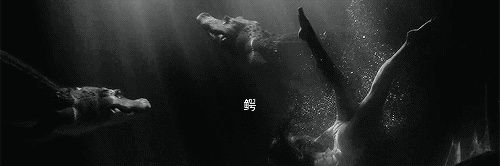 鳄𝗔𝗟𝗚𝗧𝗥⚔️ banner