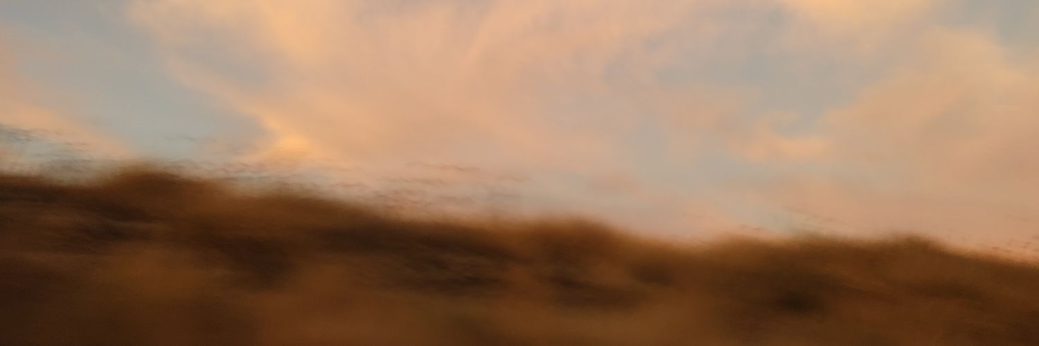 a_ve_xim's profile banner image