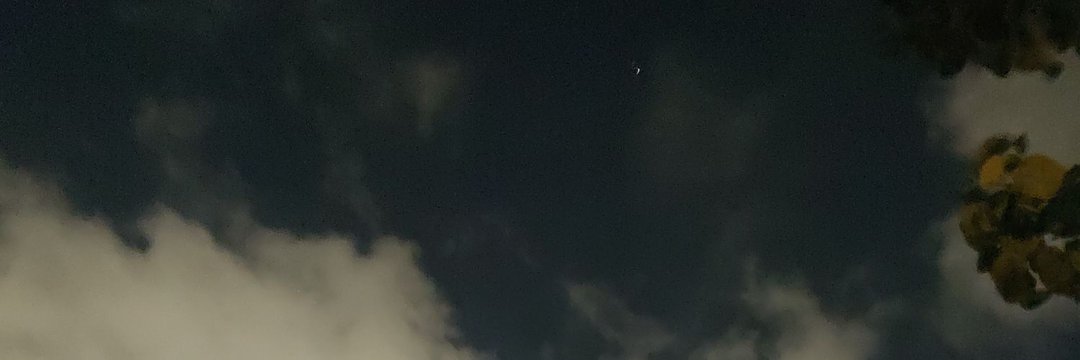 SamerHaloul's profile banner image