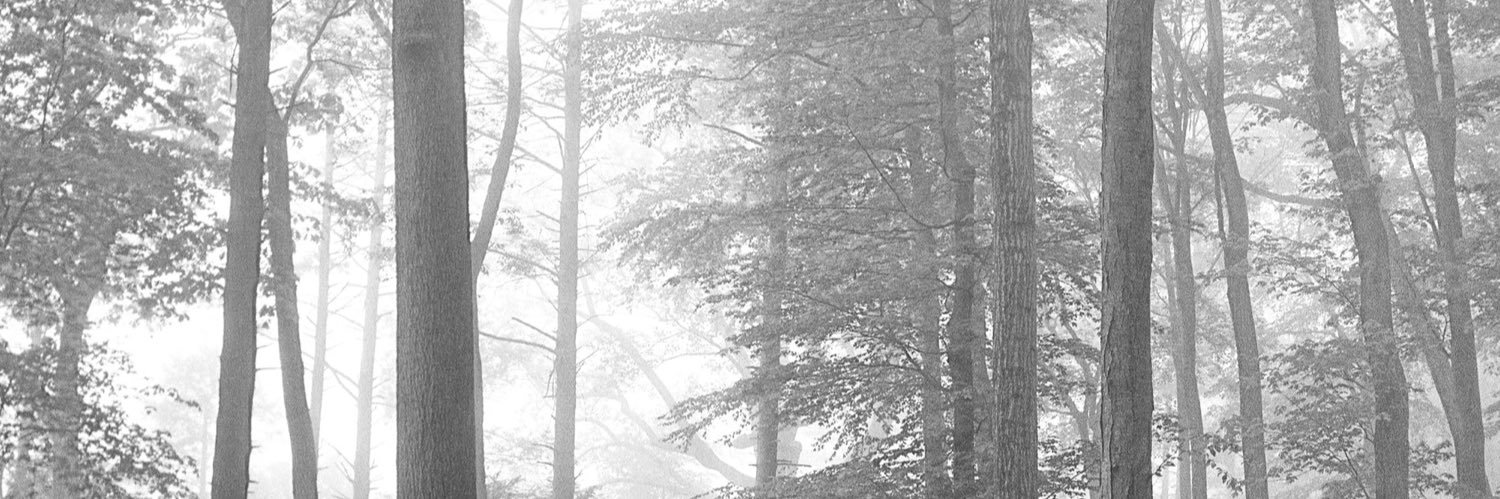 b. banner