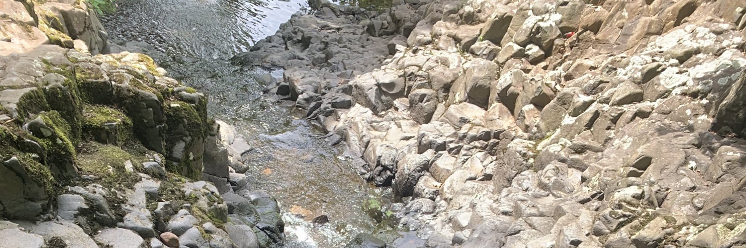 David Carmona banner