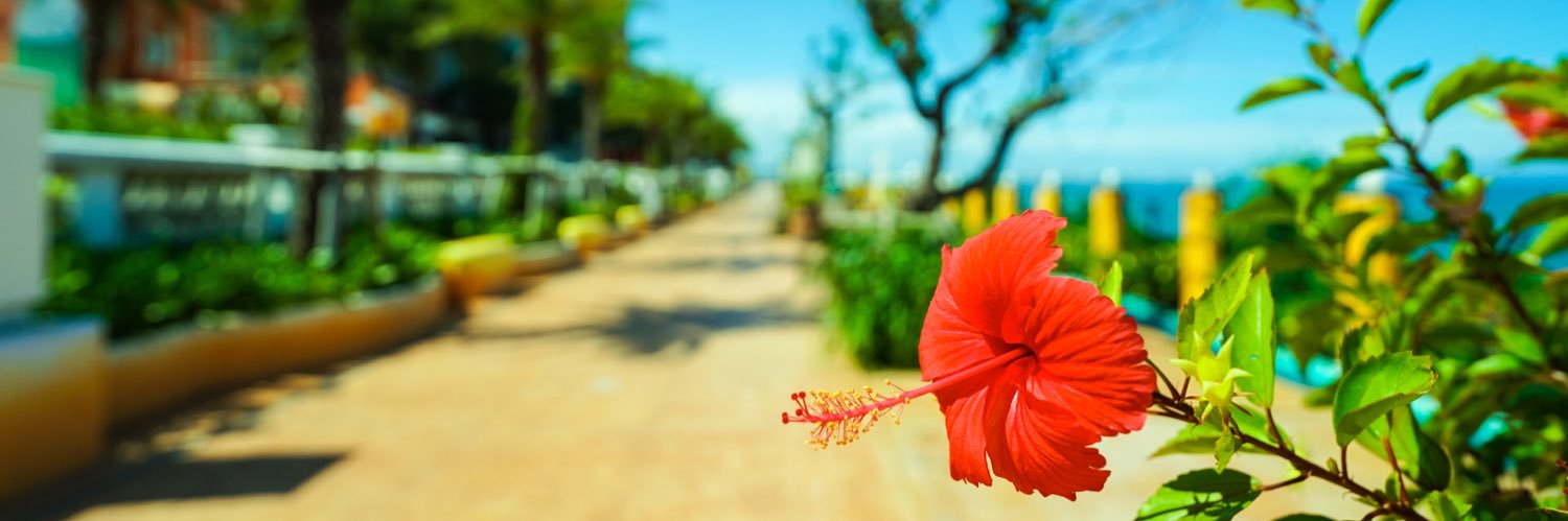 NGO_OKA92's profile banner image