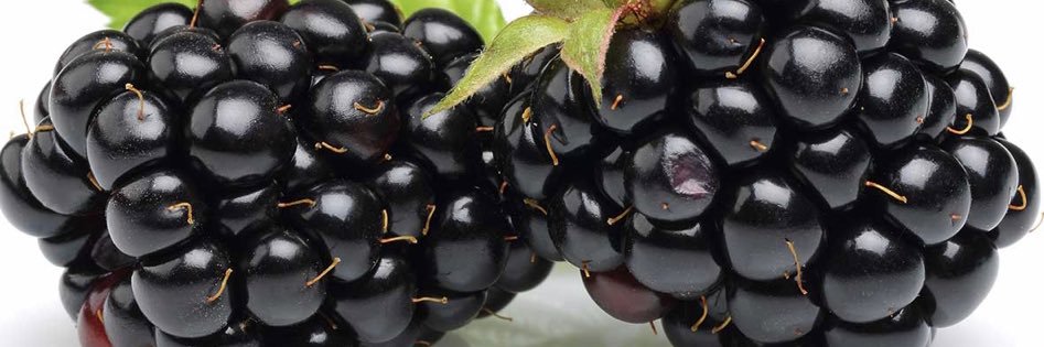 BlackBerryKing's profile banner image