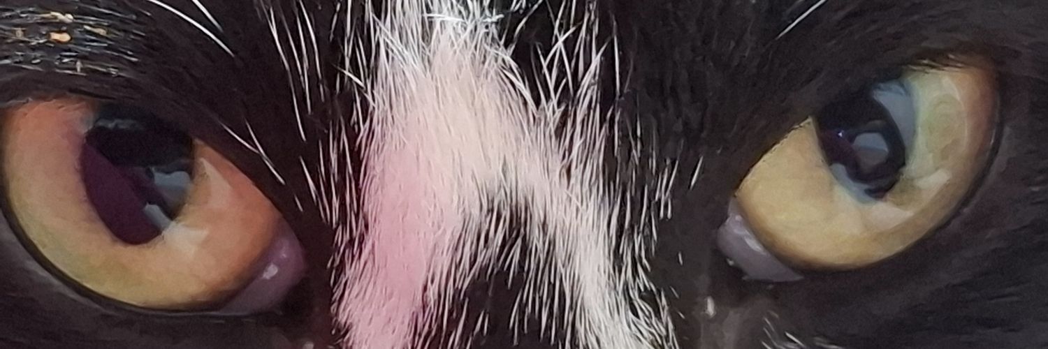 Bruna✨️ | 📖: ? banner