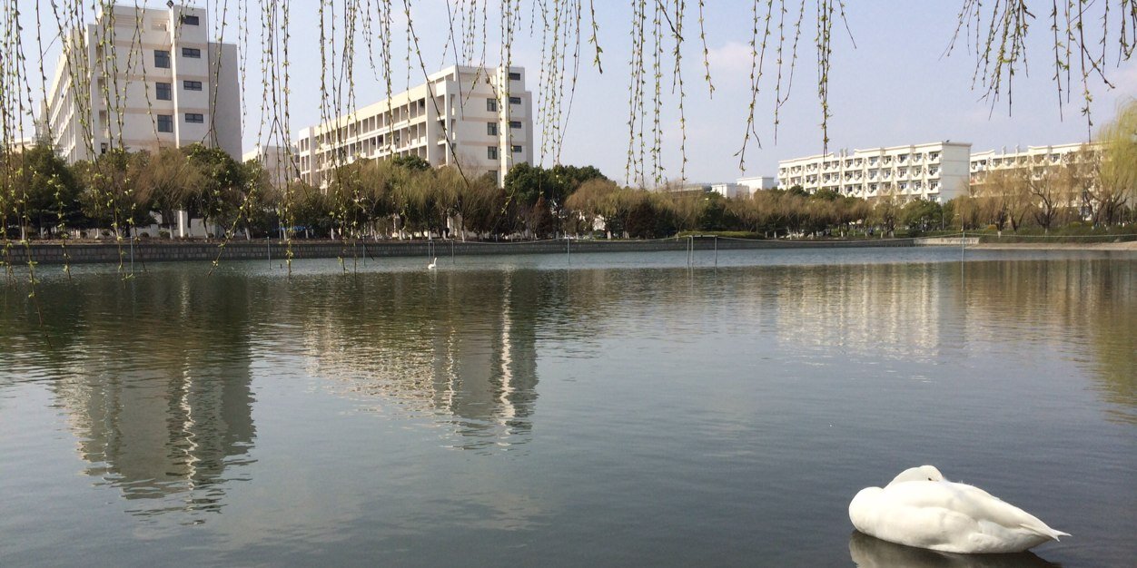 liuliu1350's profile banner image