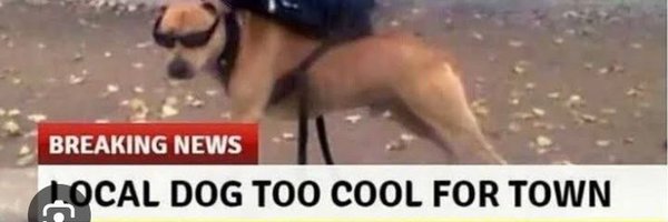 Itsastage Profile Banner