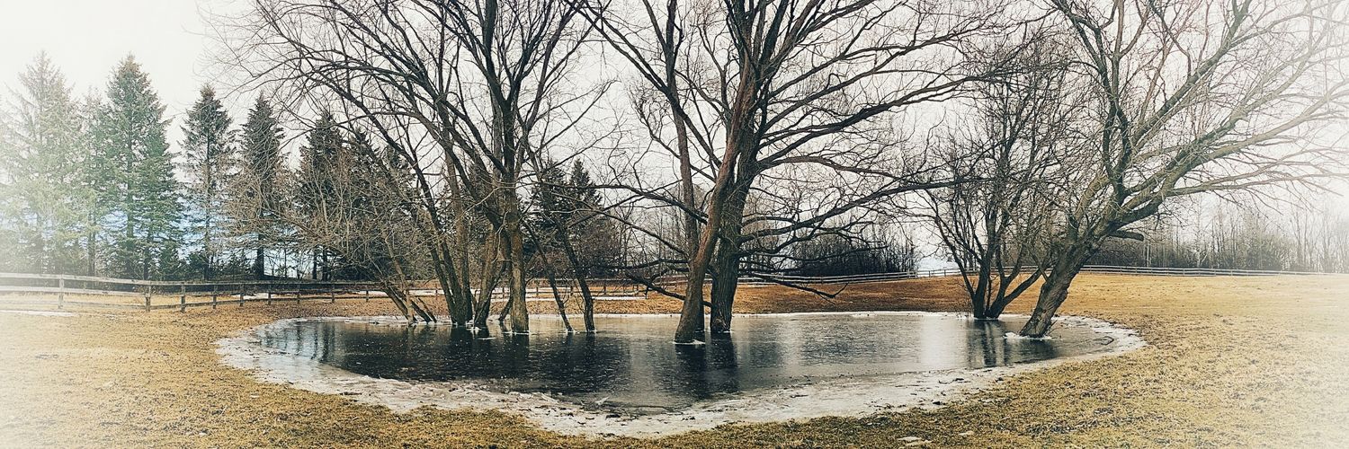 brandon Verjel banner