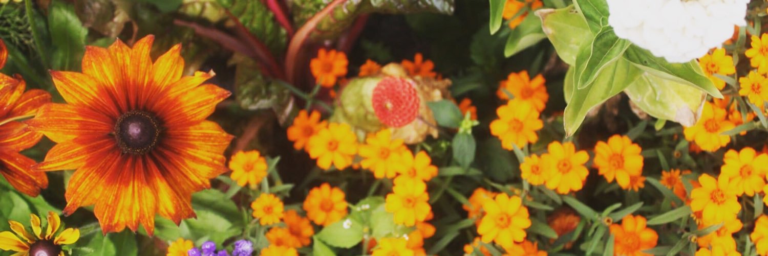 tororo0613's profile banner image