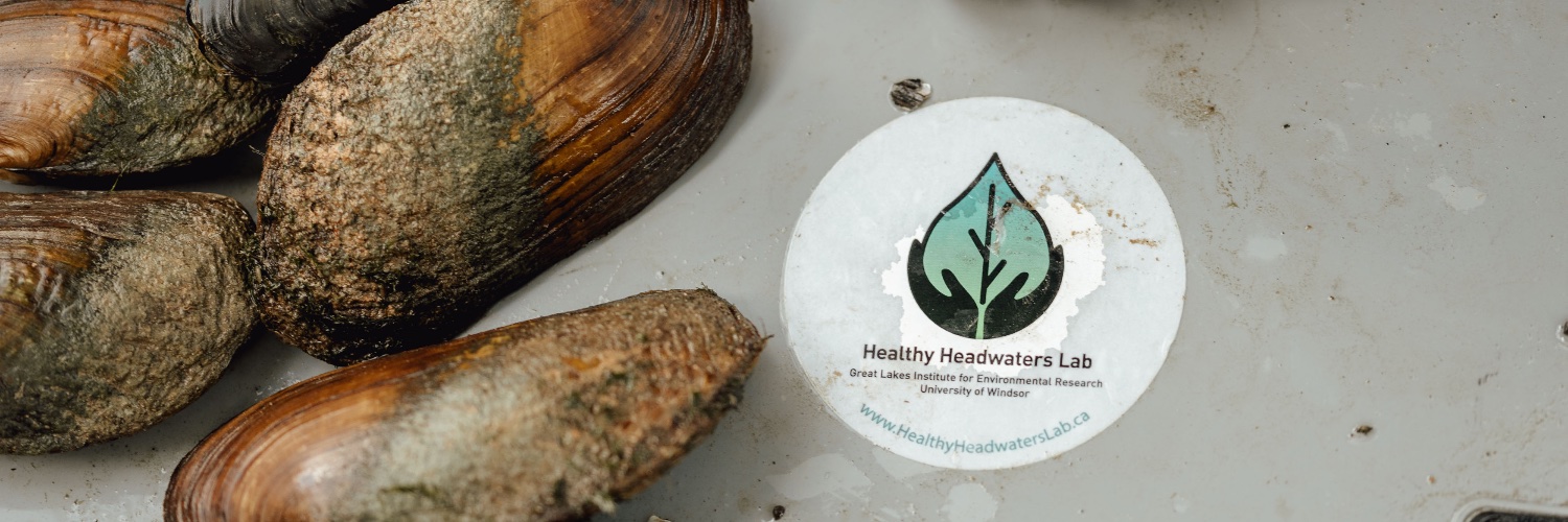 The Healthy Headwaters Lab banner