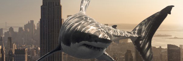 Carlos ARANDA 🦈 banner